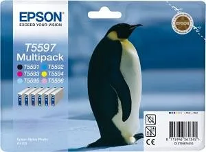 Картридж Epson C13T55974010