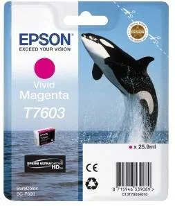 Контейнер с пурпурными чернилами Epson T7603 для SC-P600 (C13T76034010)