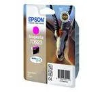 Картридж Epson EPT09234A10