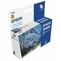 Картридж Epson EPT34540