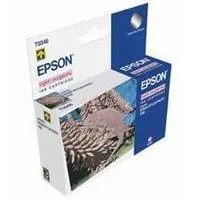 Картридж Epson EPT34640