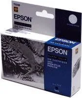 Картридж Epson EPT34840