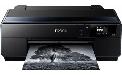 Принтер Epson SureColor SC-P600 (C11CE21301)